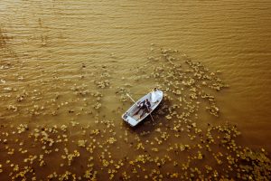 dronenbild, hochzeitsfoto