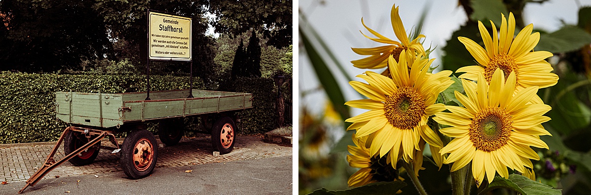 blumen, hochzeitsreportage